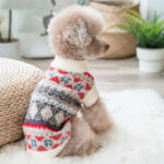 Creative Pattern Imitation Mink Velvet Teddy Clothes - Image 2