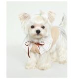 Pet Floral Neck Bow Cute Vest Clothes - Image 4