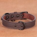 Medium Bell Anti-lost Pet Collar - Image 6