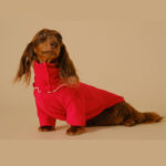 Pet Base Coat Dachshund Dog Clothing - Image 3