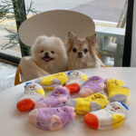 Cute Dog Socks Hidden Food List - Image 4