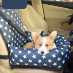 Artifact For Car Kennel And Co Pilot - Image 3