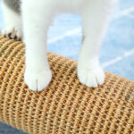 Cat scratcher claw sharpener - Image 2