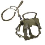 Cat Chest Strap Vest Hand Holding Rope - Image 7