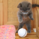 USB laser funny cat toy - Image 7