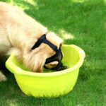 Breathable Mesh Mask That can Bite Bark and Chew Dogs - Image 4