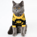 Dog clothes cat pet clothes - Image 3