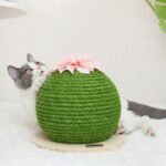 Cactus Cat Climbing Frame - Image 6