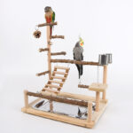 Sichuan Pepper Parrot Climbing Training Platform - Image 2