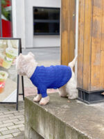 Bichon Corgi Warm And Thick Winter Clothes - Image 2
