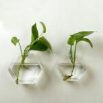 Wall-mounted fish tank - Image 2