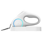 Dog leash retraction - Image 5