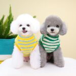 Thickened Striped Bear Pet Top - Image 2