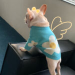 Pet Fashion Brand Clothes Dog Cat Fight - Image 4