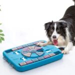 Pet Dog Puzzle Toy Interactive Eat Slowly Feeder Food Dispenser Pet Improve IQ Slowly Eating Bowl NonSlip Cat Dog Training Game - Image 6