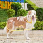 Clear Raincoat For Small Medium Dogs Pet Waterproof Clothes With Hooded Rain Jacket And Breathable Lightweight Materials Perfect For Outdoor Walking Days - Image 6
