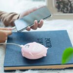 Hand Warmer Power Bank Temperature Control Double-Sided Heating Power Bank - Image 3