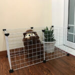 Splicing Teddy isolation door rabbit cage - Image 5