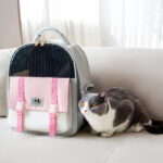 Portable And Foldable Large-capacity Cat And Dog Backpack - Image 7