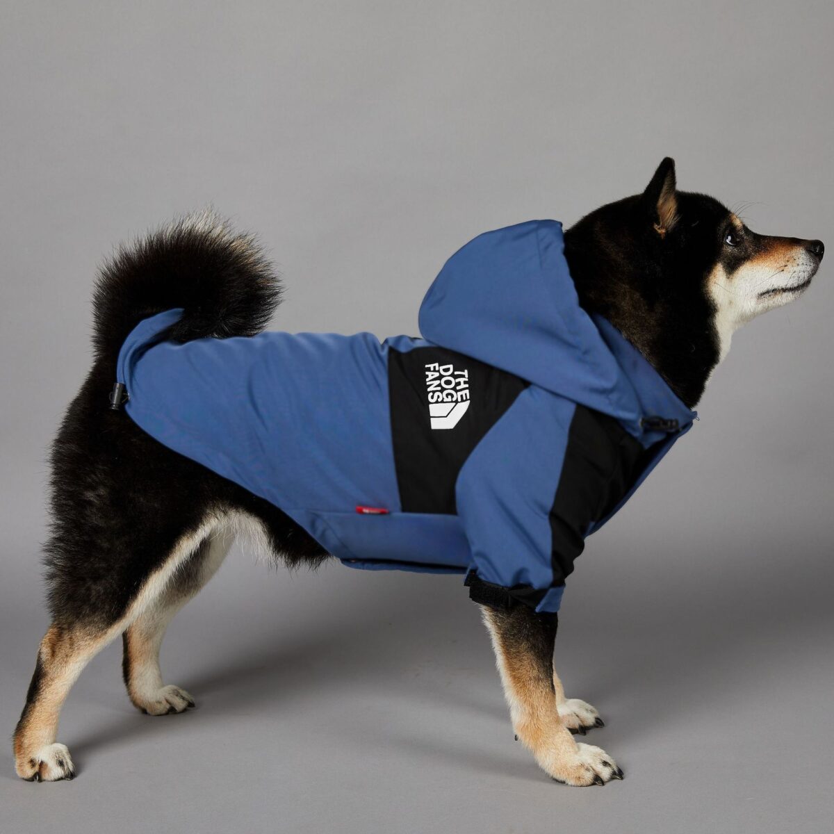 Windproof And Rainproof Large Dog Raincoat Pet Shell Jacket - Image 7