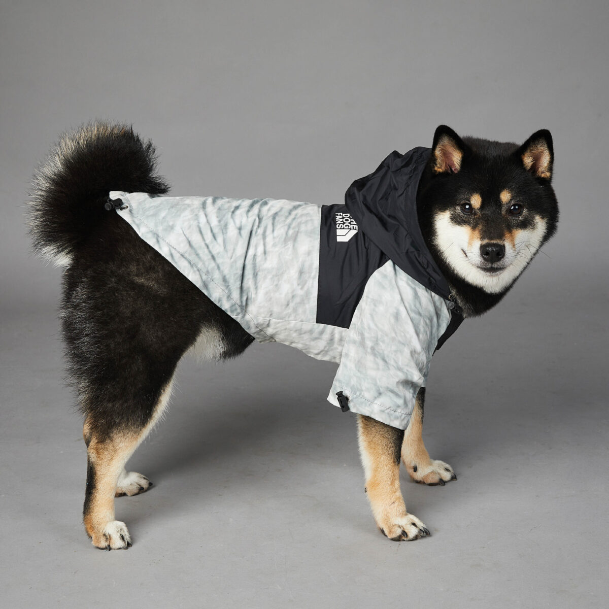 Dog Noodles New Dog Large Dog Dog Pet Shell Jacket - Image 8