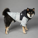 Dog Noodles New Dog Large Dog Dog Pet Shell Jacket - Image 8