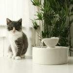 Smart Circulation Drinking Bowl Fountain Ceramic For Cats - Image 5
