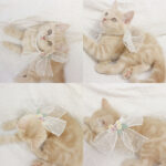 Pet Original Small Dog Necklace Bow Jewelry - Image 4