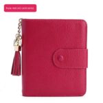 Korean Style Large Capacity Tassel Snap Solid Color Multiple Card Slots Driving License Protective Cover - Image 7