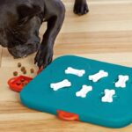 Dog food leaker educational toy - Image 2