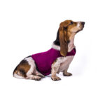 Anxiety Jacket Vest Summer Medical Treatment To Calm Down Cat Clothes Dog Comfort Clothes - Image 6