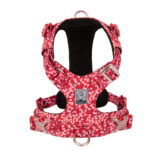 Fashion Personality Pet Chest Pull-resistant Strap - Image 5