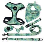 Pet Breathable Dog Harness Leash Set - Image 7