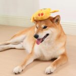 Animals Shape Squeaky Toys Plush Dog Toy Cute Bite Resistant PP Cotton Dog Toys For Small Large Dogs Puppy Pet Dog Accessories - Image 10