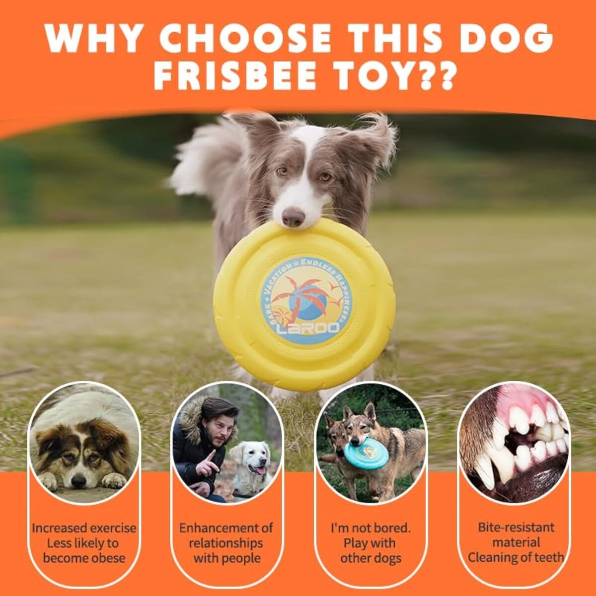 Dog Flying Disc Dog Flying Disc Durable And Interactive Flying Disc For Medium And Large Dogs  Perfect For Summer Parties And Outdoor Playtime - Image 6