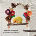 Parrot Swing Pine Nut Grinding Mouth Grinding Claw Log Bird Stand Rod Color Decoration - Image 6