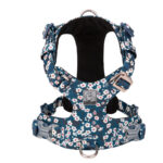 Fashion Personality Pet Chest Pull-resistant Strap - Image 3