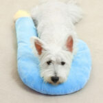 Pillow With Question Mark For Dogs And Cats, Universal Cushion For The Neck, For Sleeping, For All Four Seasons - Image 4