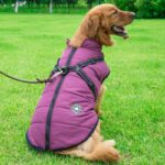 Reflective Large Dog Clothes Cold-proof Warm Pet Coat Waterproof Autumn And Winter Dog Shell Coat - Image 5
