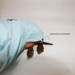 Dog Waterproof Hooded Poncho Raincoat - Image 3
