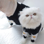 Pet Sweater Autumn And Winter Thick Warm Flowers - Image 4