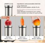 Large Diameter Slag Juice Separation Juicer Centrifugal Fruit Machine - Image 5
