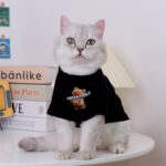 Summer Thin Anti-hair Loss Clothes - Image 4