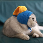 The Girl With Pearls Purely Handmade Original Pet Costume Cat Hat - Image 3