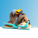 Dog Puzzle Sniffing Slow Food Book Toy - Image 6