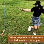 The New Pet Dog Teaser Rod Bite Pull Cotton Rope Toy Pet Interactive Training Toy - Image 2