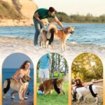 Leg Protector For Dogs Knee Brace Auxiliary Belt Joint Protection Pet Supplies Great Deal - Image 3