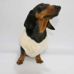 Cute Cow Vest Dog Cat Pet Clothes Autumn And Winter Fleece-lined - Image 4