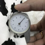 Thickened Luggage Cow Fabric Horsehair Genuine Horse Leather Base Color - Image 4