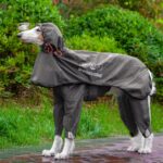 Adjustable Dog Raincoat All-inclusive Medium Large Dog Adhesive Four-leg Hooded Poncho - Image 6